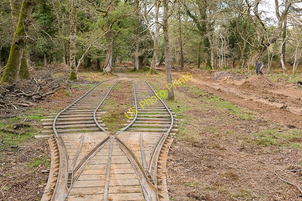 Photo 6"x4" Warwickslade Cutting: running the railway Bank\/SU2807 c2009