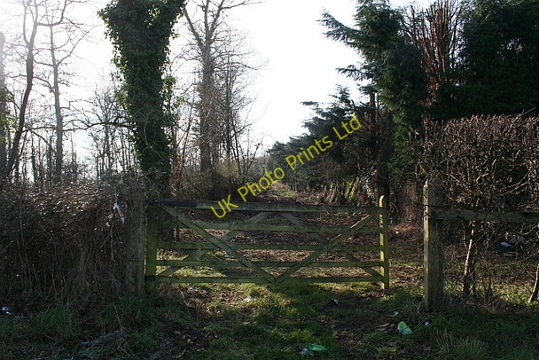 Photo 6"x4" Gate into the Wetlands of Lower Hook Duckswich c2008