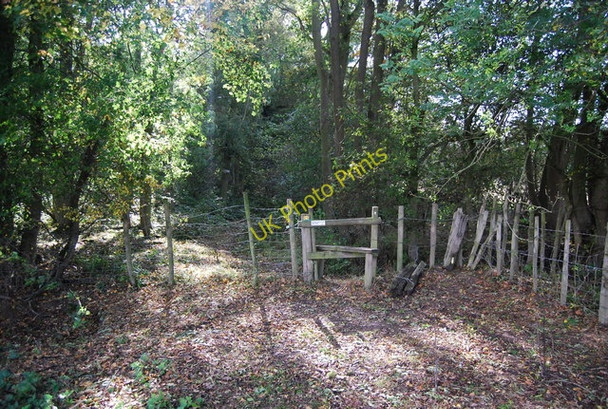 Photo 6"x4" Stile on the edge of Home Covert Stocks Green c2009
