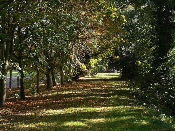 Photo 6"x4" Back footpath Bleasby\/SK7149 c2009