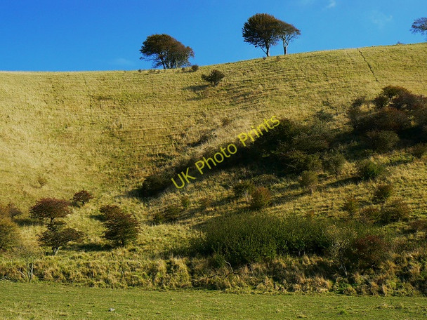 Photo 6"x4" The bottom of Beacon Hill, Bromham CP Heddington c2009