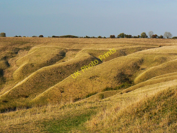 Photo 6"x4" Western edge, Beacon Hill, Bromham CP Roundway c2009