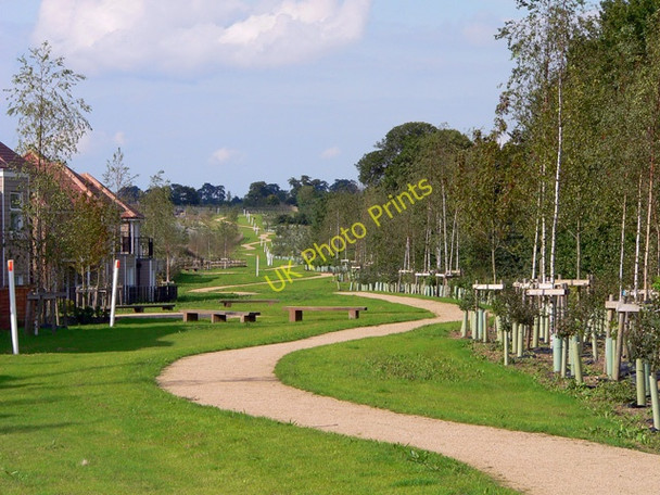 Photo 6"x4" Landscaped Footpath St Neots c2009