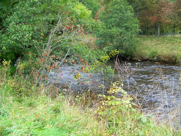 Photo 6"x4" Shee Water, Cray Cray\/NO1463 c2009