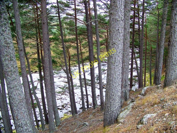 Photo 6"x4" The River Dee Muir\/NO0689 c2009