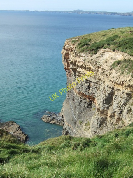 Photo 6"x4" Druidston Chins Druidston c2009