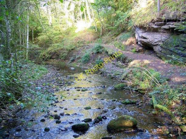 Photo 6"x4" Path, Den o' Alyth Alyth c2009 P1