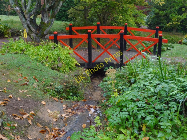 Photo 6"x4" The Japanese Bridge, Batsford Arboretum Batsford c2009