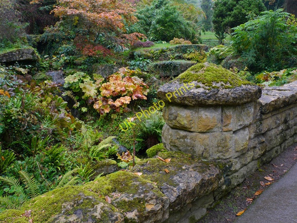 Photo 6"x4" The Bridge just after the entrance to Batsford Arboretum Batsford c2009