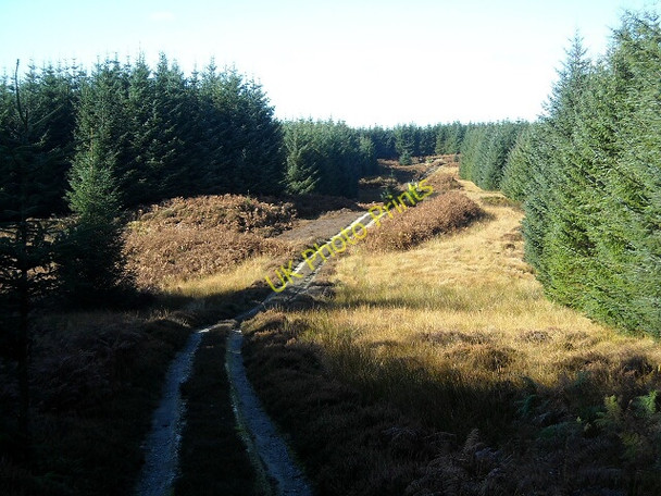 Photo 6"x4" Forest Track on Garleffin Hill Barrhill\/NX2382 c2009