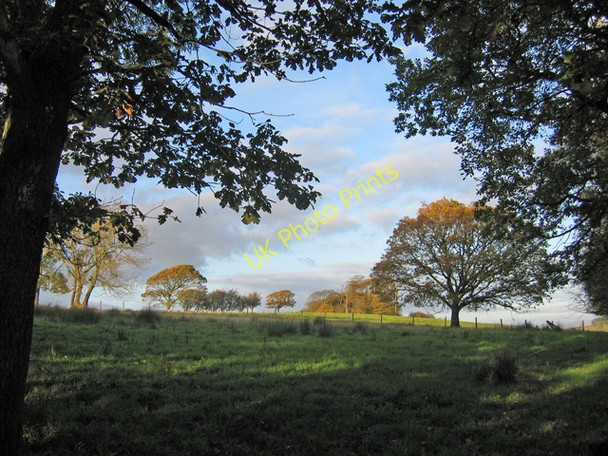 Photo 6"x4" Rough grazing land near Over Kellet Capernwray c2009