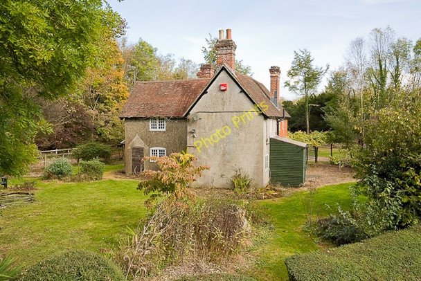 Photo 6"x4" West Lodge, Preshaw Estate Blackdown\/SU5322 c2009