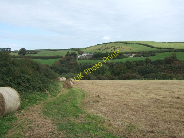 Photo 6"x4" Hay Meadow at Nant Y Coy Ford\/SM9526 c2009