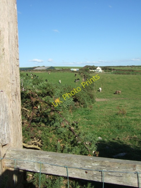 Photo 6"x4" Footpath to Little Folly Nolton c2009