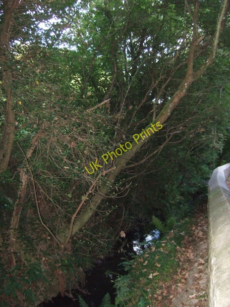 Photo 6"x4" Stream near Walwyn's Castle Woodsend\/SM8710 c2009