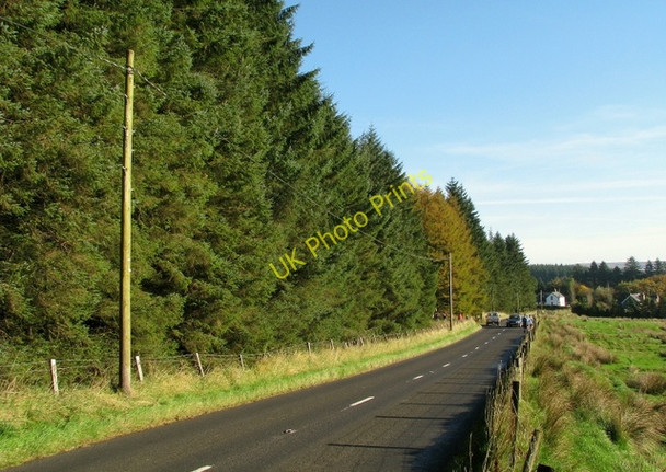 Photo 6"x4" Glenariff Road Glenariff c2009