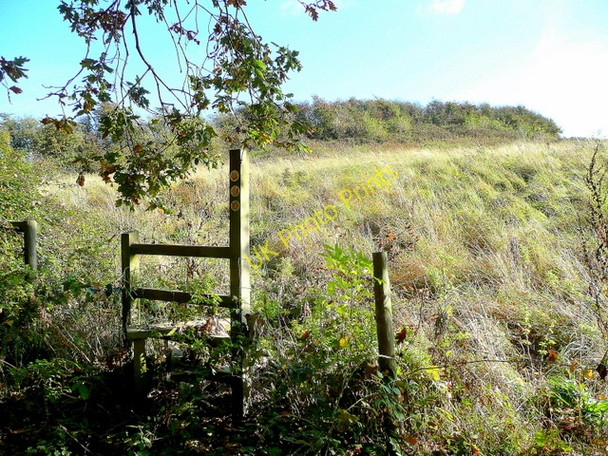 Photo 6"x4" North side of The Warren Greet\/SP0230 c2009
