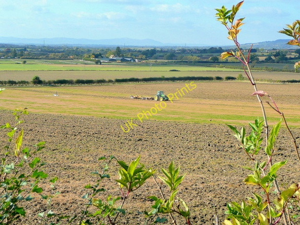 Photo 6"x4" Autumn cultivations Frampton Court\/SP0132 c2009