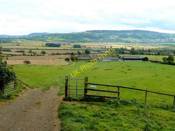 Photo 6"x4" On the Wychavon Way 6 Alderton\/SP0033 c2009