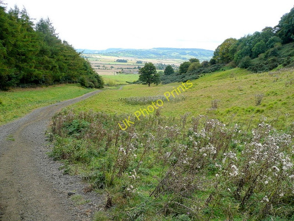 Photo 6"x4" On the Wychavon Way 8 Alderton\/SP0033 c2009