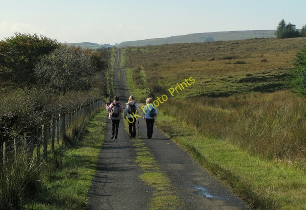 Photo 6"x4" The Skerry East Road near Cargan Martinstown\/D1314 c2009