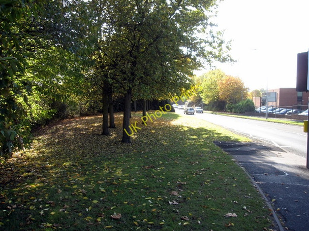 Photo 6"x4" Autumn tints on Vernon Way Crewe c2009