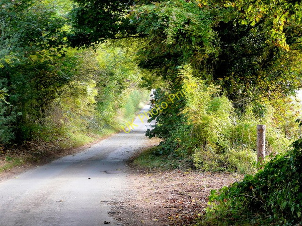 Photo 6"x4" Cotswold lane Cutsdean c2009