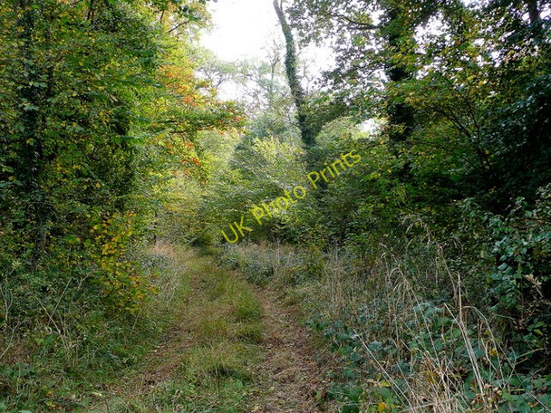 Photo 6"x4" Charnal Plantation Temple Guiting c2009