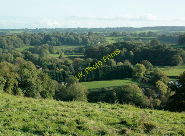 Photo 6"x4" 2009 : Over the wall at the end of Coalpit Lane Benter c2009