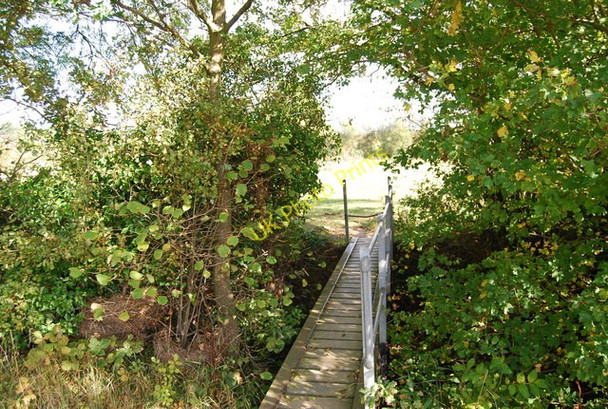 Photo 6"x4" Footbridge across a small stream Saint's Hill c2009