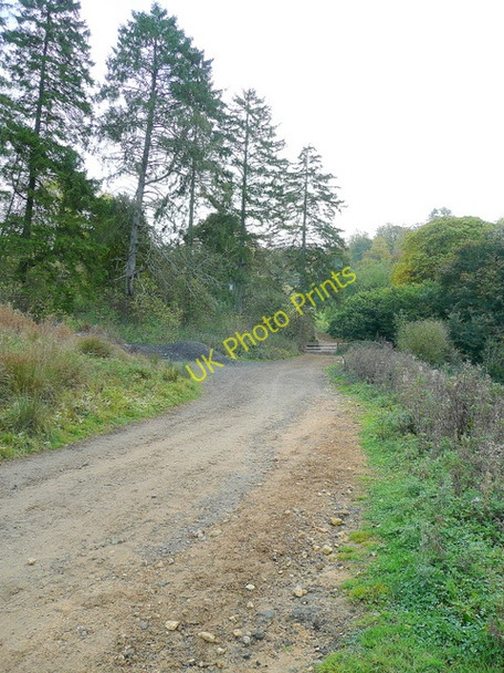 Photo 6"x4" The Cotswold Way, east of Stanton Stanton\/SP0634 c2009