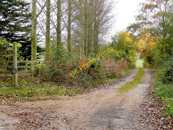 Photo 6"x4" Cotswold Way at Hailes Hailes c2009