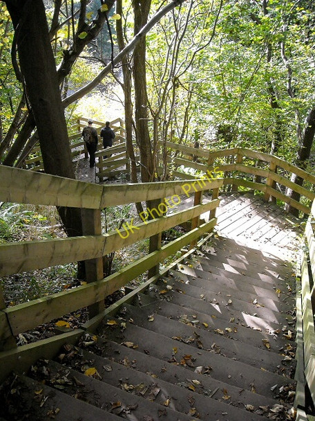 Photo 6"x4" Steps on the Clyde Walkway Nethanfoot c2009