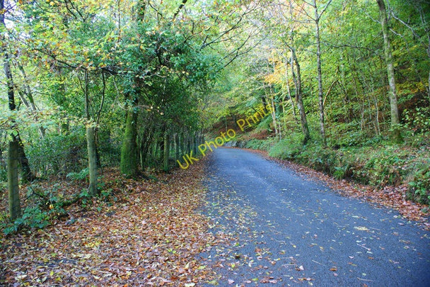 Photo 6"x4" The road up to Llyn Crafnant Trefriw c2009
