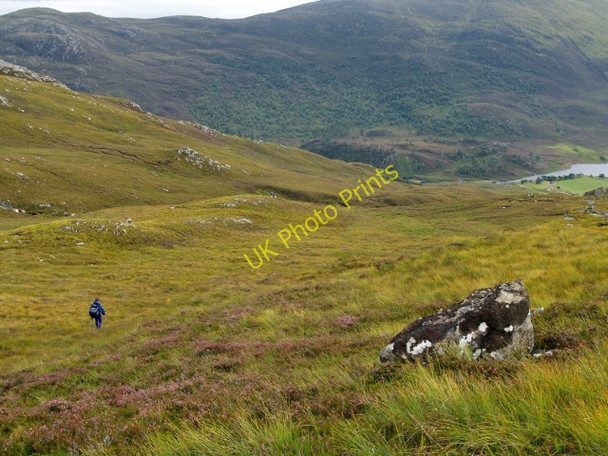 Photo 6"x4" SW slopes of Garbh-charn,  Glen Strathfarrar Creag a' Bhruic c2009