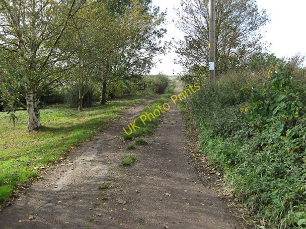 Photo 6"x4" Hereward Way Prickwillow c2009