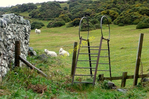 Photo 6"x4" Stile onto access land Gorddinog c2009