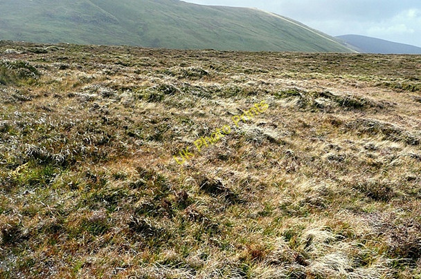 Photo 6"x4" Blaen y Ddalfa Gorddinog c2009