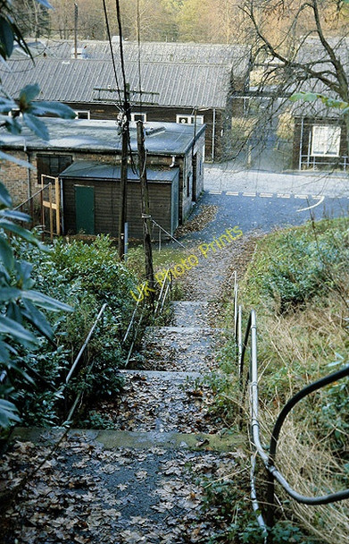 Photo 6"x4" Steps at the former Peel Hospital near Galashiels Peel\/NT4335 c1987