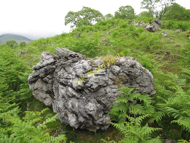 Photo 6"x4" Durness Limestone Sanachan c2009