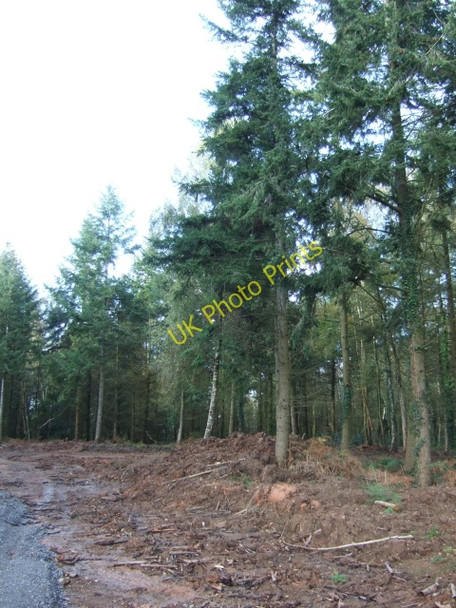 Photo 6"x4" Huxham Brake Huxham c2009