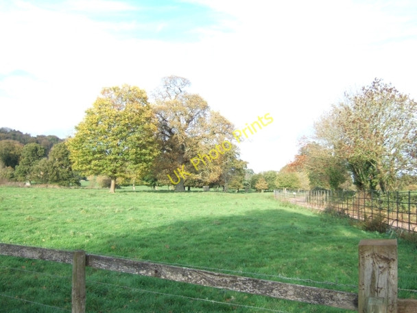 Photo 6"x4" Killerton Park Beare\/SS9800 c2009