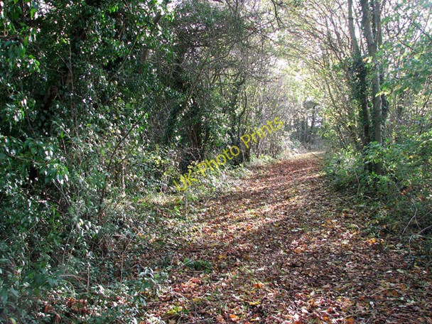 Photo 6"x4" Path to Kirstead Green Howe\/TM2799 c2009