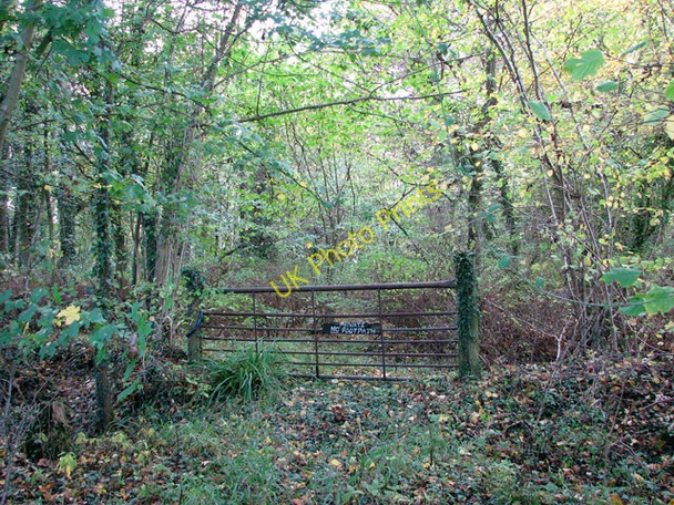 Photo 6"x4" Gate in woodland Howe\/TM2799 c2009