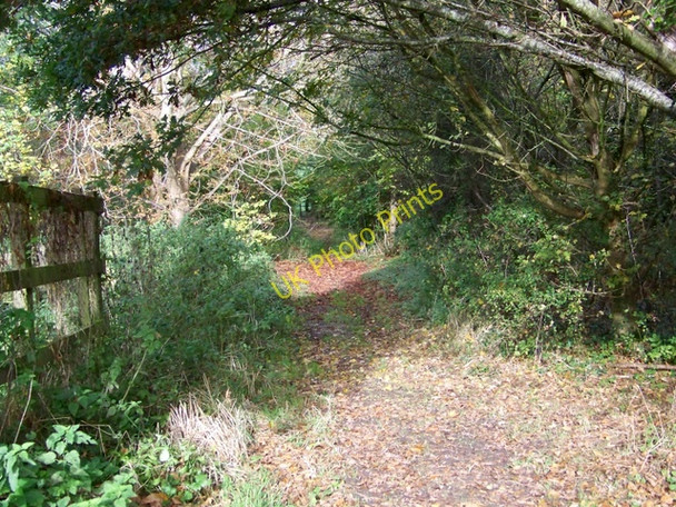 Photo 6"x4" Footpath, Beer Hackett Beer Hackett c2009
