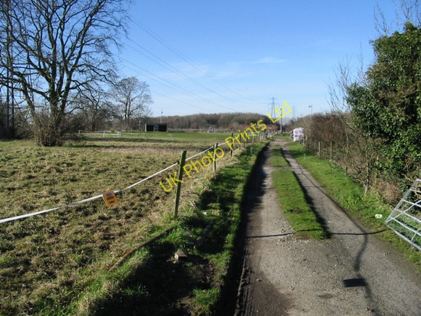 Photo 6"x4" Looking NW along farm track from Hay Lane Felderland c2008