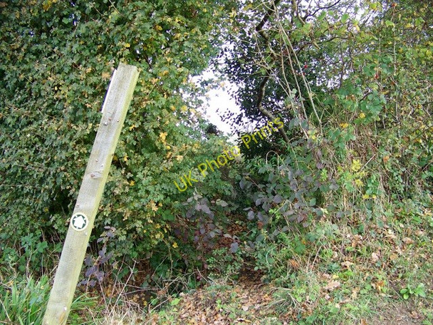 Photo 6"x4" Footpath, Lillington Lillington\/ST6212 c2009