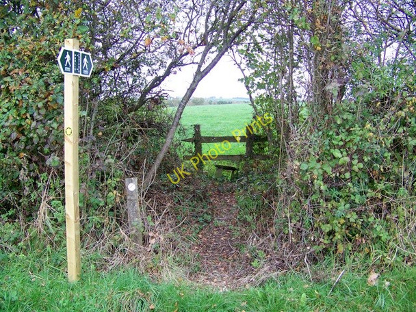 Photo 6"x4" Stile near Leigh Higher Totnell c2009