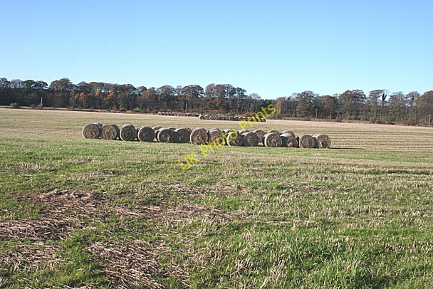 Photo 6"x4" Fields near Dipple Crofts of Dipple c2009