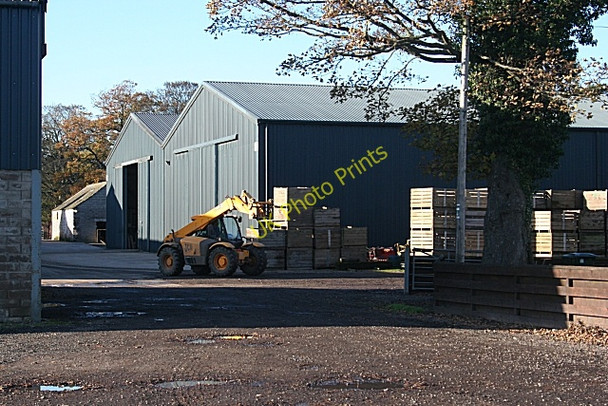 Photo 6"x4" Dipple Farm Crofts of Dipple c2009